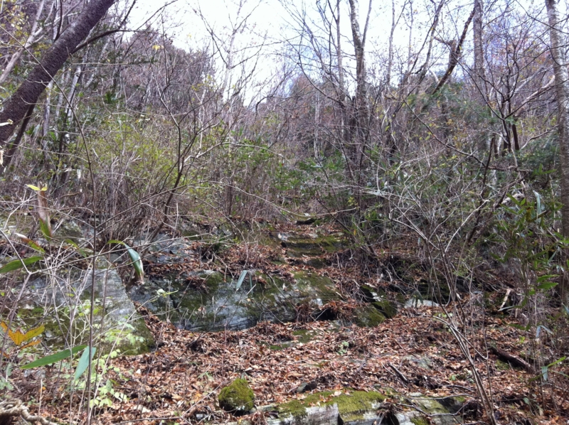 f:id:nceedo:20121118110246j:image f:id:nceedo:20121118110246j:image