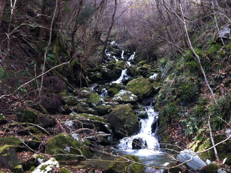 f:id:nceedo:20121118111654j:image f:id:nceedo:20121118111654j:image