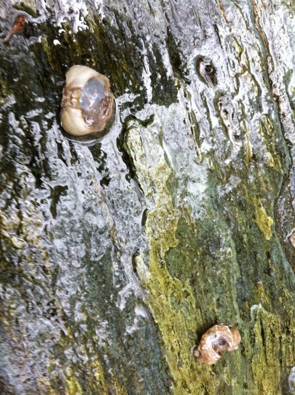 f:id:nceedo:20121118111913j:image f:id:nceedo:20121118111913j:image