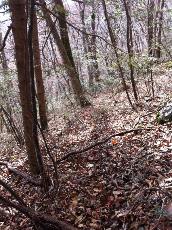 f:id:nceedo:20121118120916j:image f:id:nceedo:20121118120916j:image