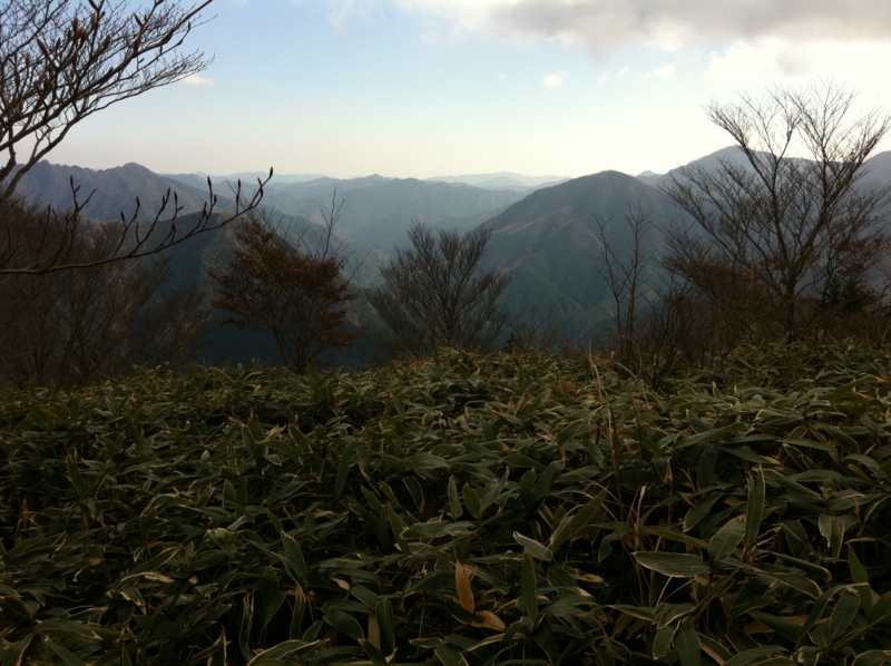 f:id:nceedo:20121118125340j:image f:id:nceedo:20121118125340j:image