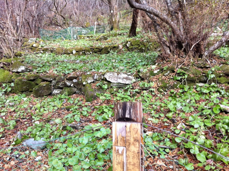 f:id:nceedo:20121118140237j:image f:id:nceedo:20121118140237j:image