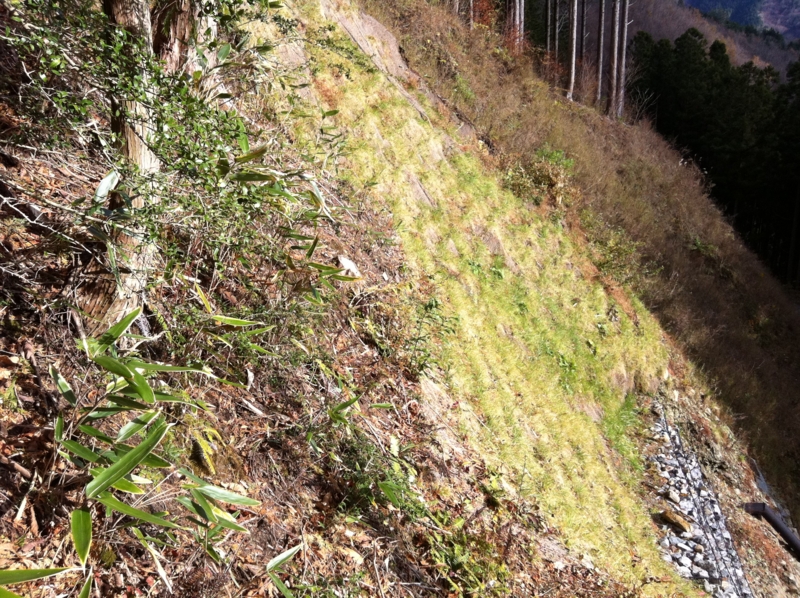 f:id:nceedo:20121118142149j:image f:id:nceedo:20121118142149j:image