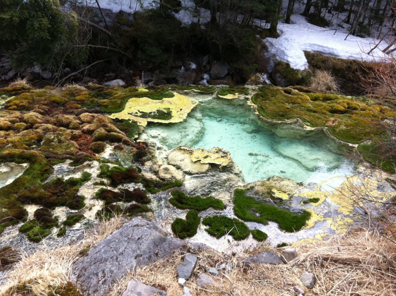 f:id:nceedo:20130323110644j:image f:id:nceedo:20130323110644j:image