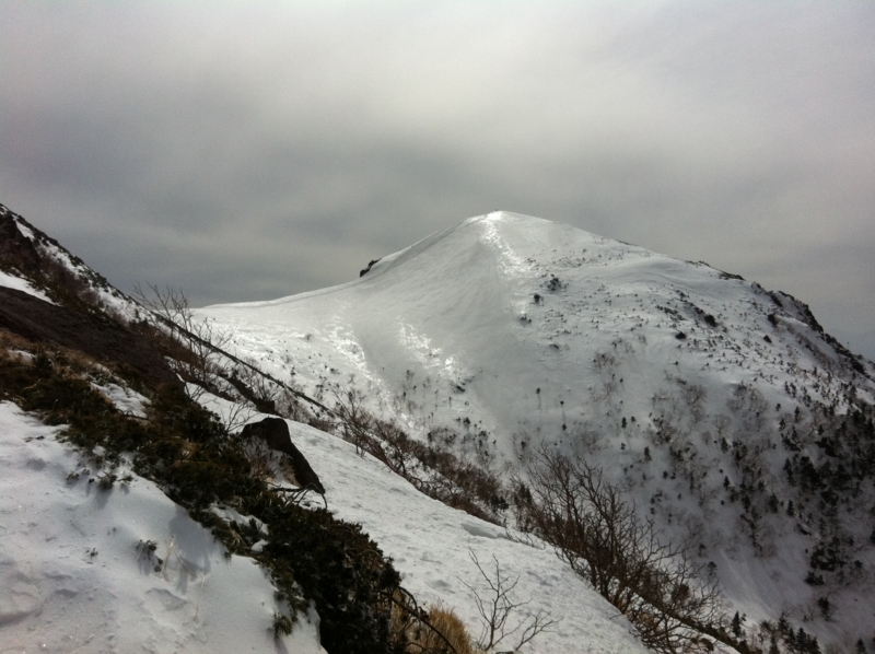 f:id:nceedo:20130323135711j:image f:id:nceedo:20130323135711j:image