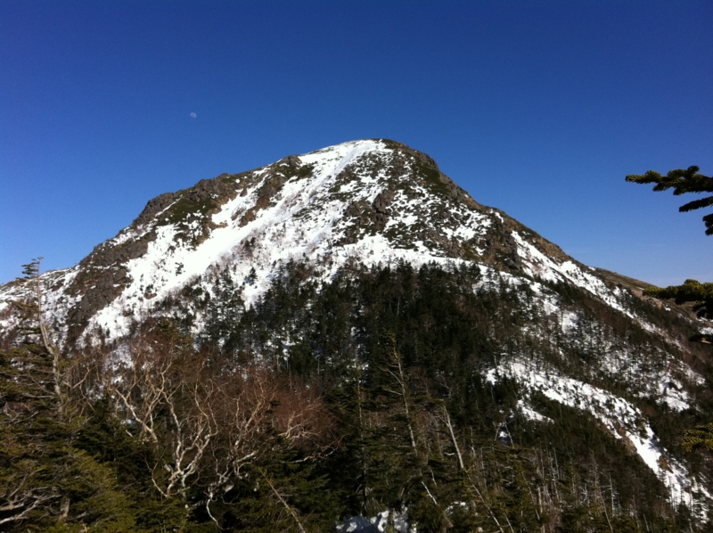 f:id:nceedo:20130323153438j:image f:id:nceedo:20130323153438j:image