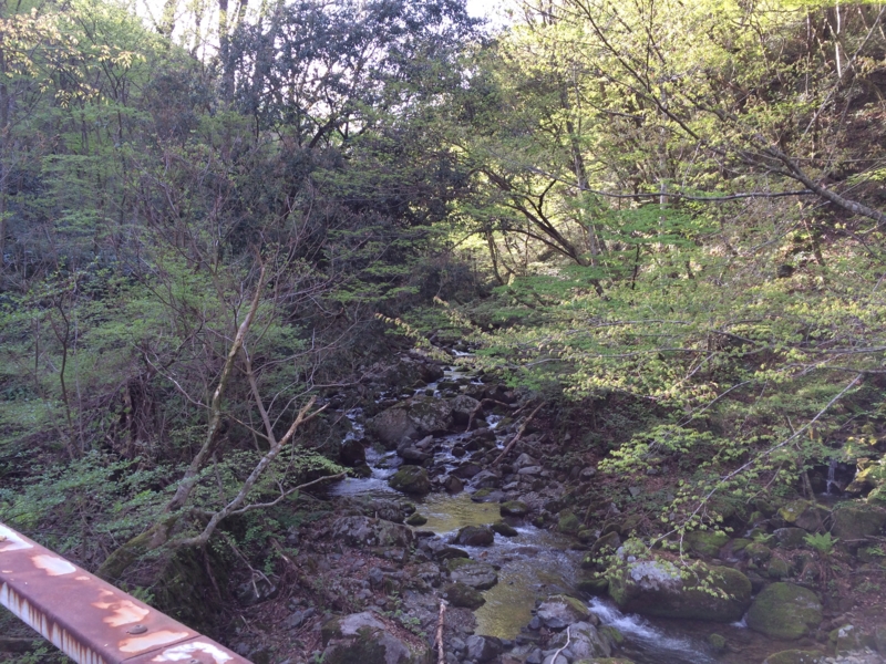 f:id:nceedo:20140430075006j:image f:id:nceedo:20140430075006j:image