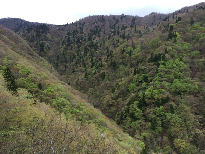 f:id:nceedo:20140430121828j:image f:id:nceedo:20140430121828j:image