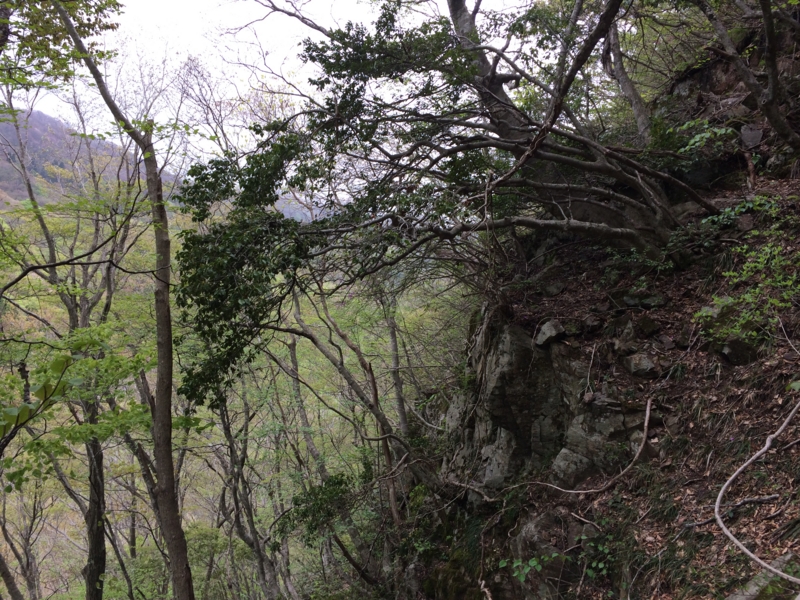 f:id:nceedo:20140430122953j:image f:id:nceedo:20140430122953j:image