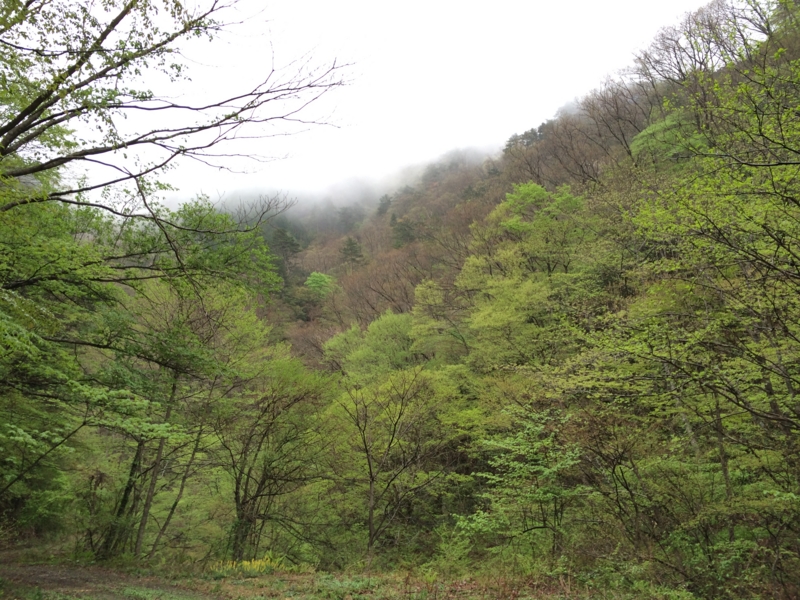 f:id:nceedo:20140430140230j:image f:id:nceedo:20140430140230j:image