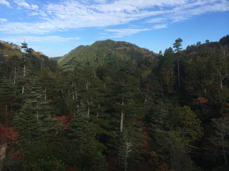 f:id:nceedo:20141012080912j:image