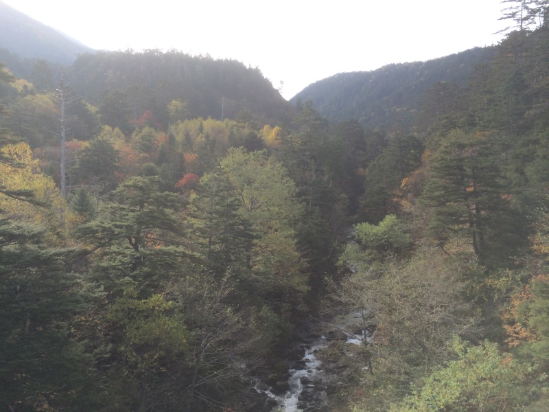 f:id:nceedo:20141012080935j:image