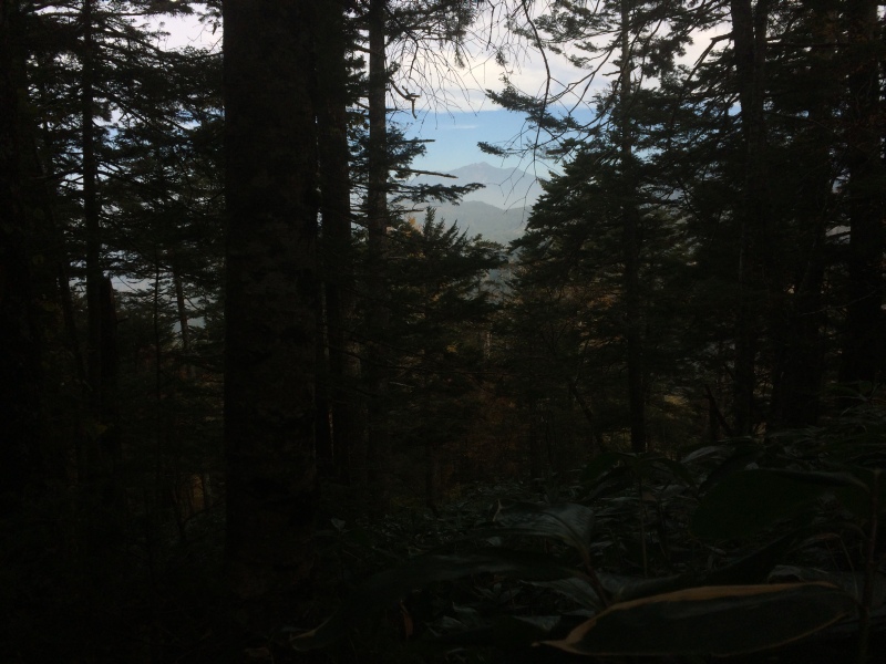 f:id:nceedo:20141012101457j:image