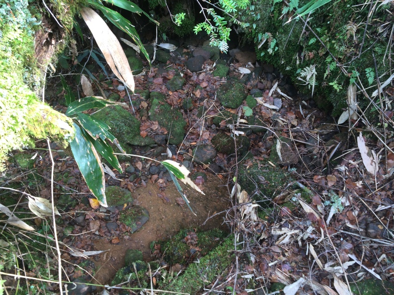 f:id:nceedo:20141012130508j:image