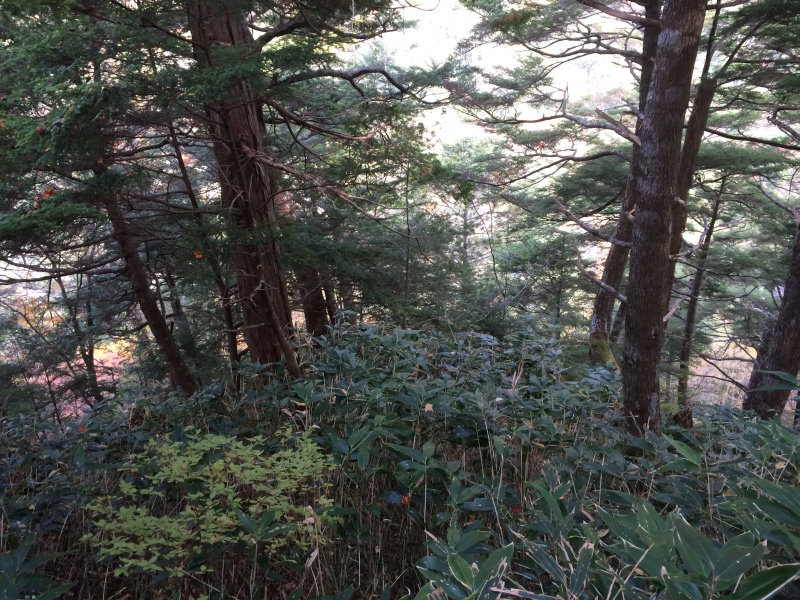 f:id:nceedo:20141012134445j:image