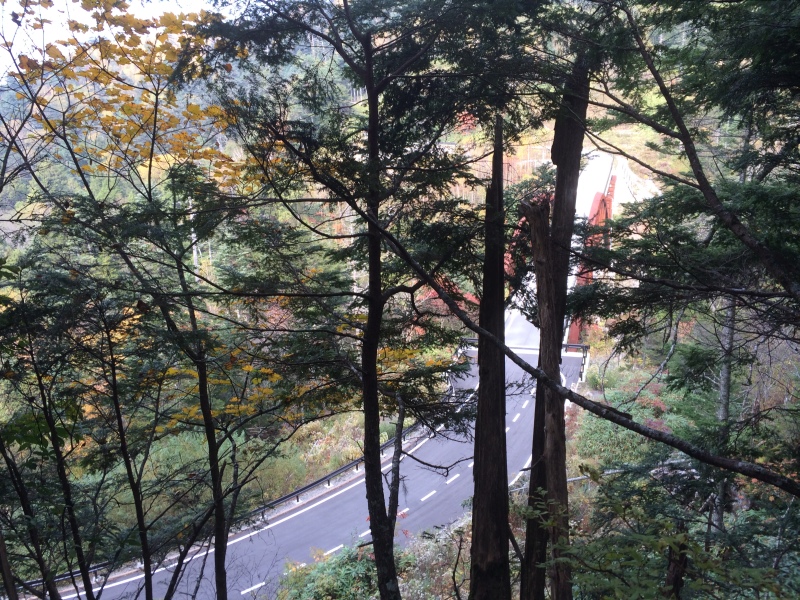 f:id:nceedo:20141012135612j:image