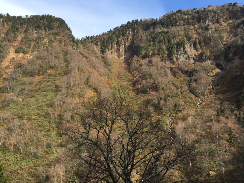 f:id:nceedo:20141108105042j:image