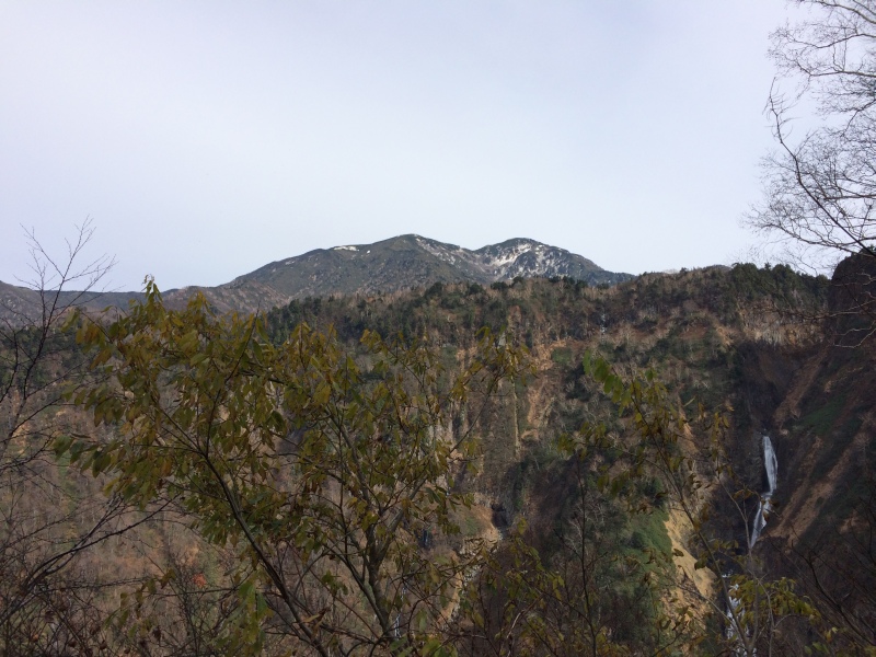 f:id:nceedo:20141108112227j:image