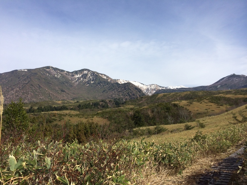 f:id:nceedo:20141108114831j:image