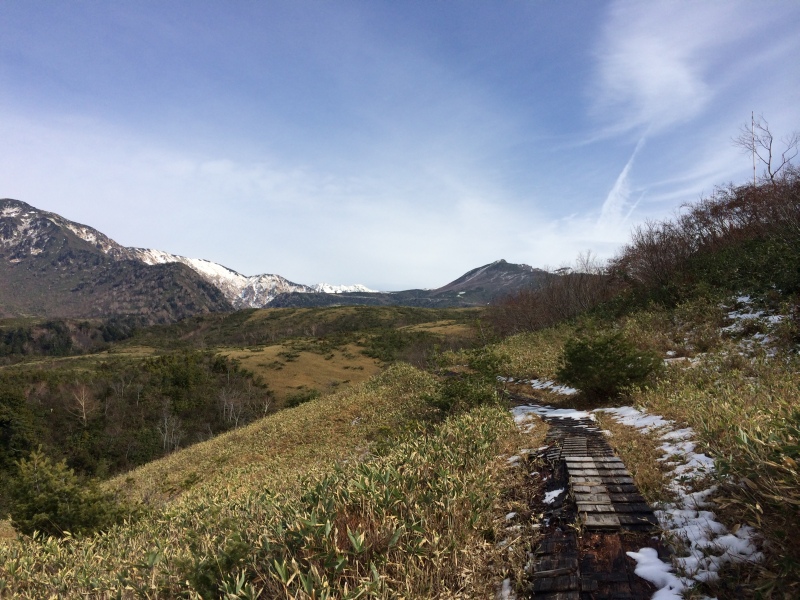 f:id:nceedo:20141108114941j:image