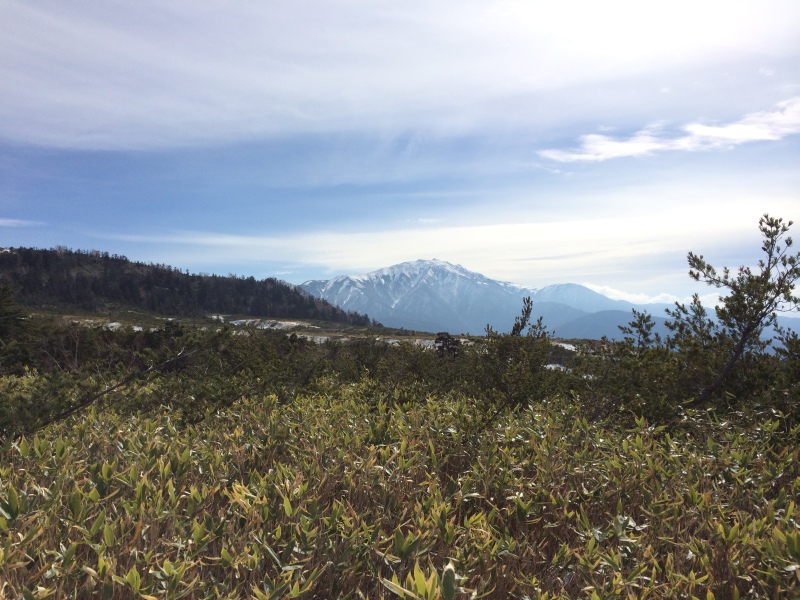 f:id:nceedo:20141108123009j:image