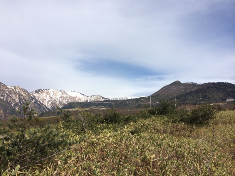 f:id:nceedo:20141108123417j:image