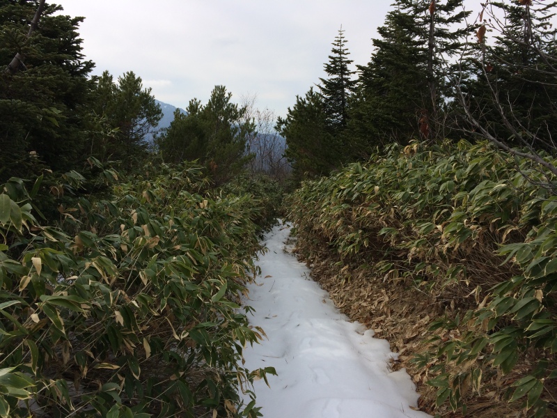 f:id:nceedo:20141108130520j:image