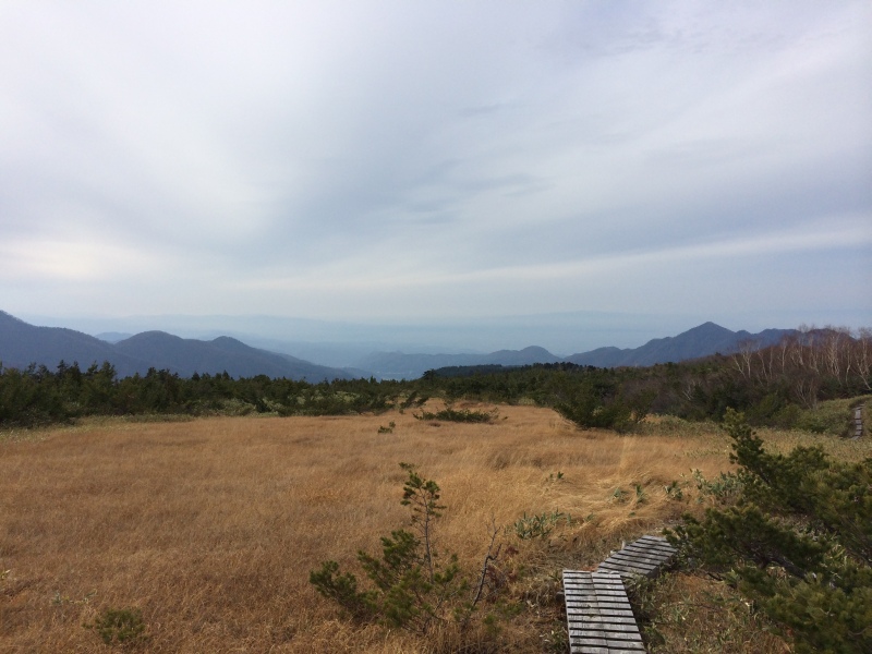 f:id:nceedo:20141108132923j:image