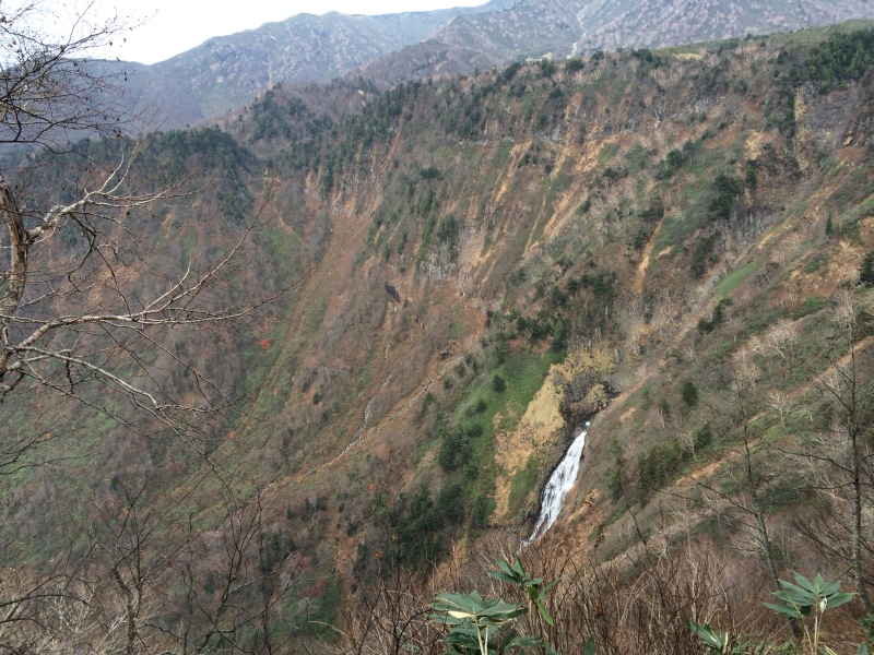 f:id:nceedo:20141108135211j:image