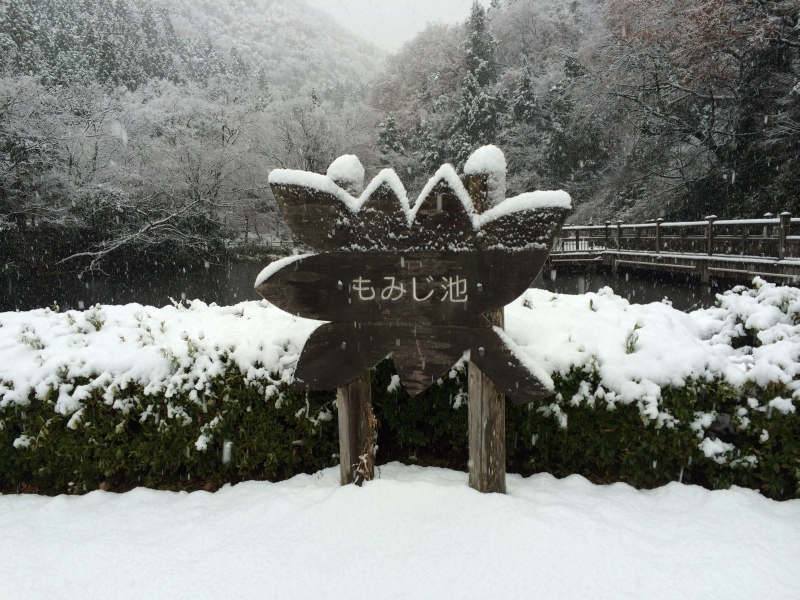 f:id:nceedo:20141207075645j:image