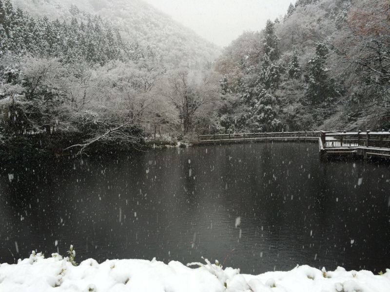 f:id:nceedo:20141207075653j:image