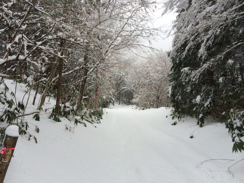 f:id:nceedo:20141230102214j:image