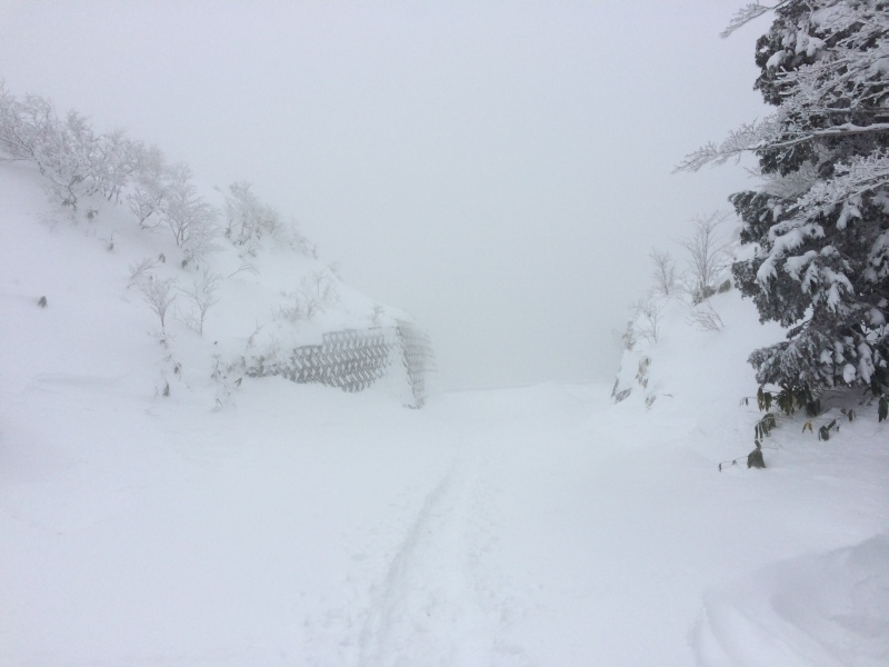 f:id:nceedo:20141230111005j:image