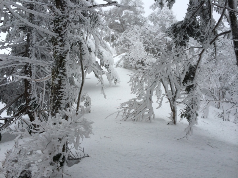 f:id:nceedo:20141230114327j:image