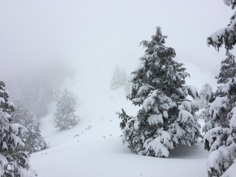 f:id:nceedo:20141230122659j:image