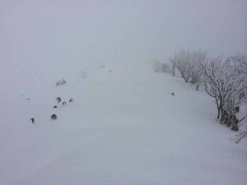 f:id:nceedo:20141230124854j:image