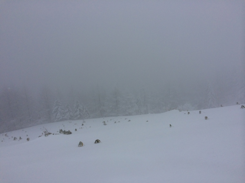 f:id:nceedo:20141230124857j:image