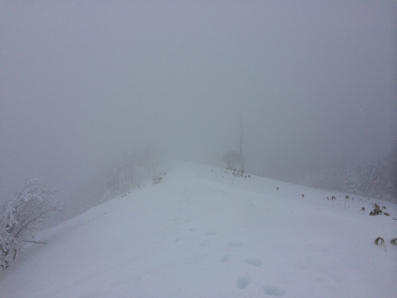 f:id:nceedo:20141230124901j:image