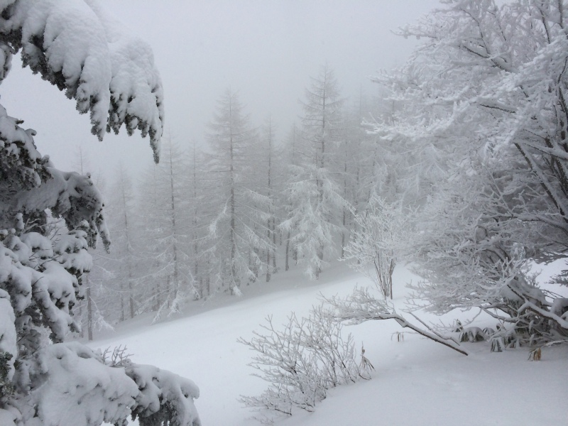 f:id:nceedo:20141230133352j:image