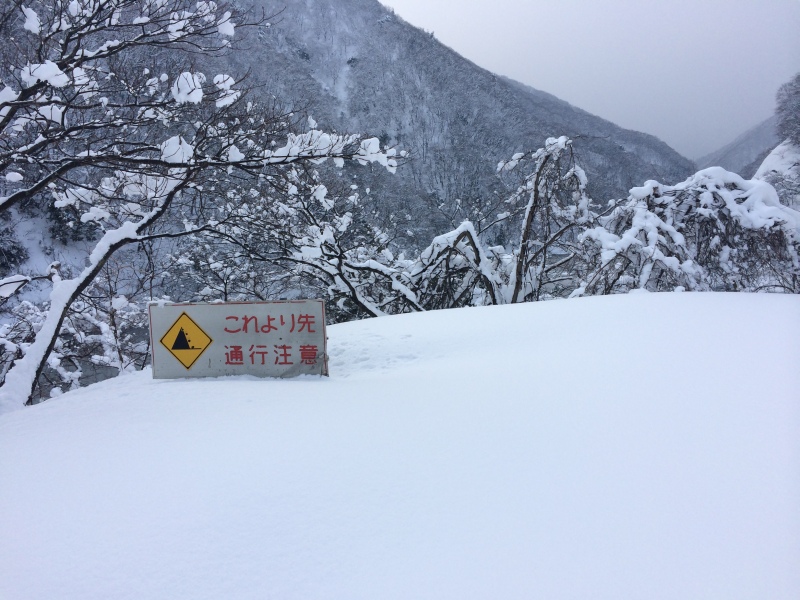 f:id:nceedo:20150211084941j:plain