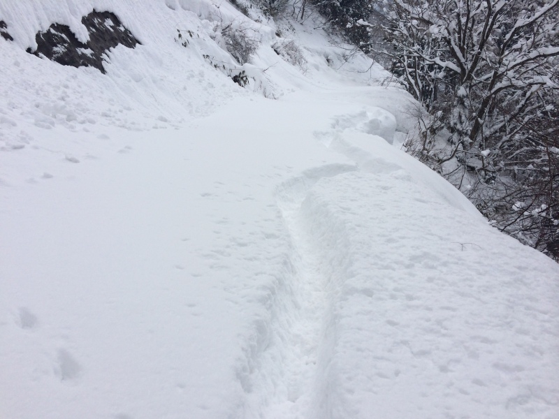 f:id:nceedo:20150211095938j:plain