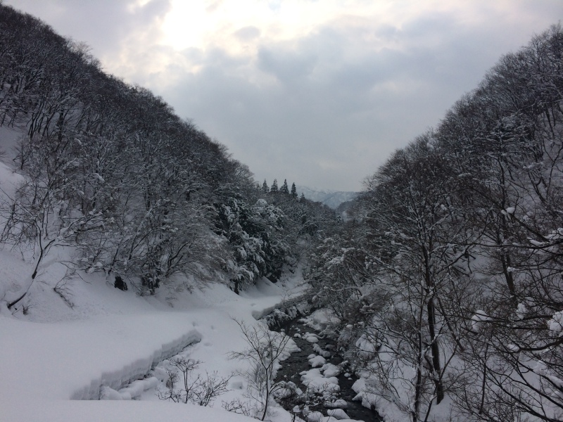 f:id:nceedo:20150211102737j:plain