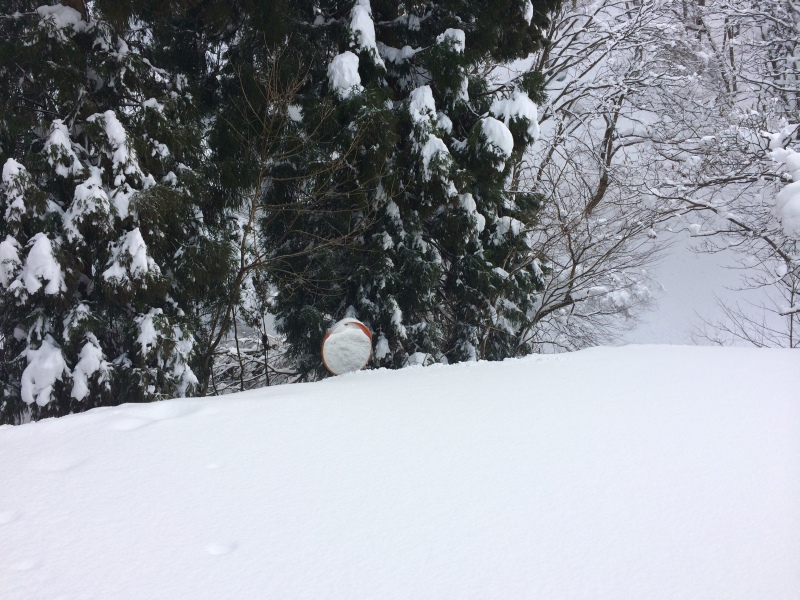 f:id:nceedo:20150211104820j:plain