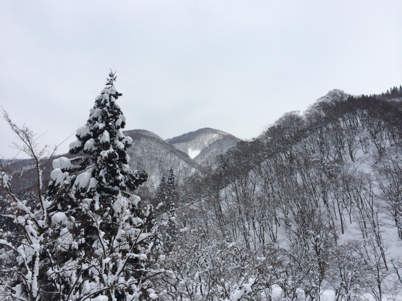 f:id:nceedo:20150211111420j:plain