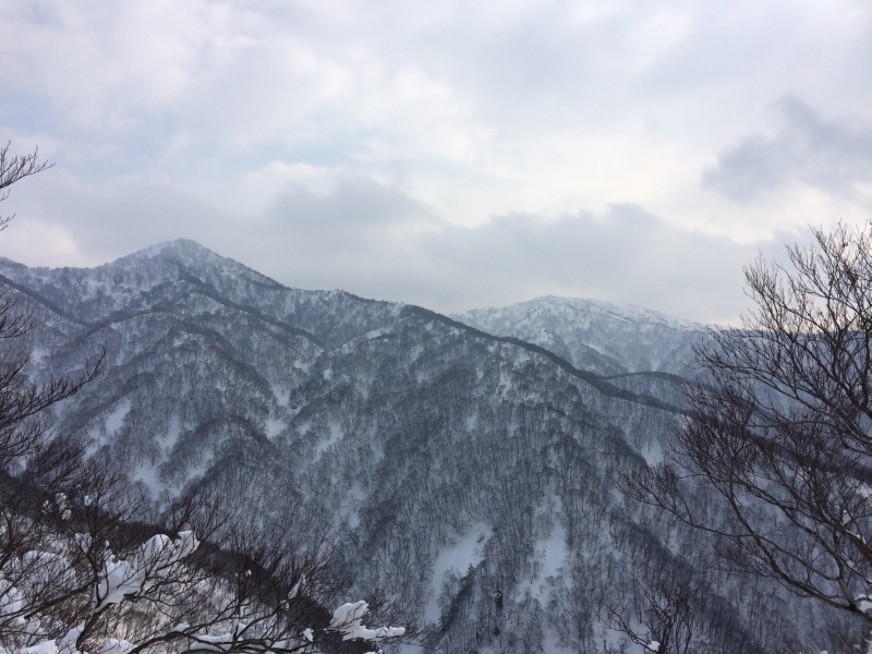 f:id:nceedo:20150211135700j:plain