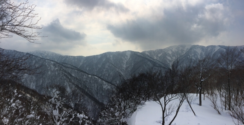 f:id:nceedo:20150211141216j:plain