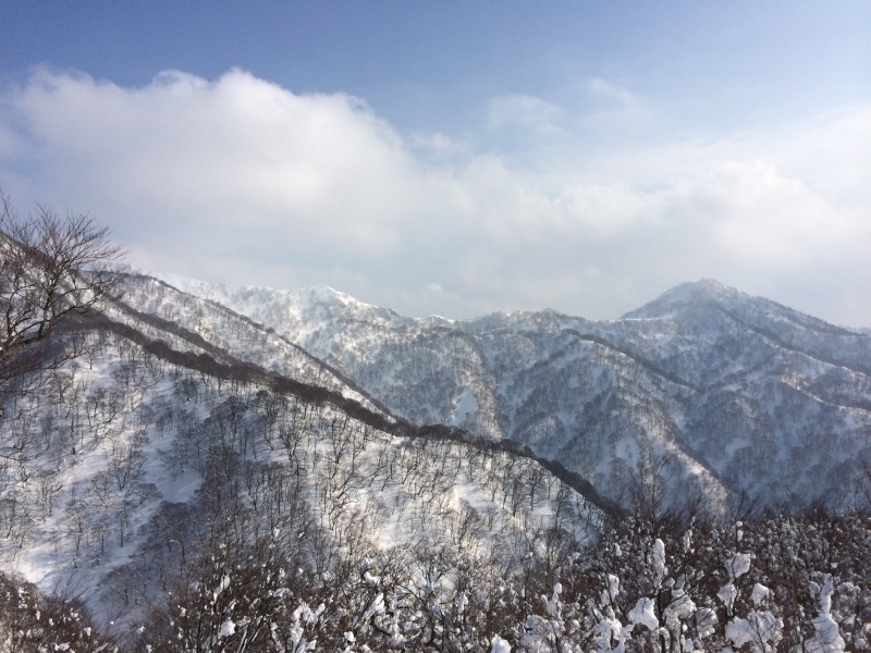 f:id:nceedo:20150211143413j:plain