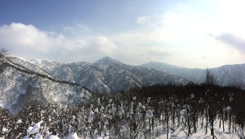 f:id:nceedo:20150211143442j:plain