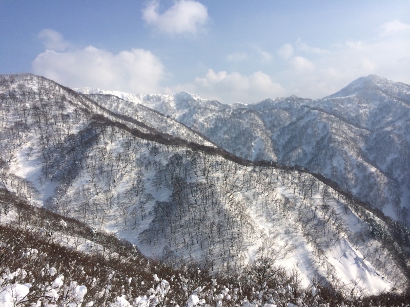 f:id:nceedo:20150211143951j:plain