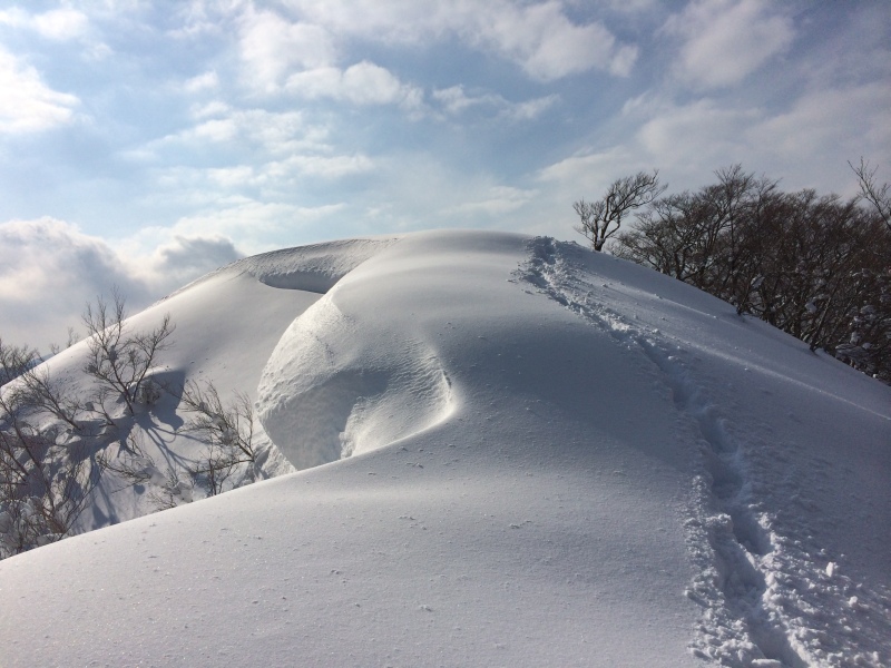 f:id:nceedo:20150211150259j:plain